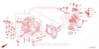 CULASSE pour Honda CRF 110 de 2023