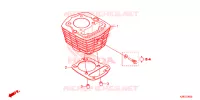 CYLINDRE pour Honda CRF 125 F BIG WHEELS de 2023