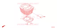 CYLINDRE pour Honda CRF 125 F BIG WHEELS de 2023