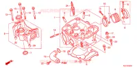 CULASSE pour Honda CRF 150 R BIG WHEELS de 2024