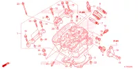 CULASSE pour Honda CRF 300 L de 2022