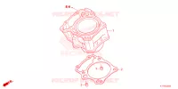 CYLINDRE pour Honda CRF 300 L de 2022