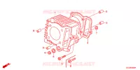CYLINDRE pour Honda CRF 50 de 2022