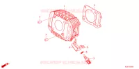 CYLINDRE pour Honda CT 125 TRAIL de 2021