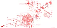 CULASSE pour Honda LEAD 125 de 2022