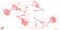 CLIGNOTANT pour Honda RUCKUS 50 de 2023