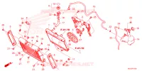 RADIATEUR   VASE D'EXPANSION pour Honda REBEL 1100 de 2023
