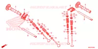 ARBRE A CAMES   SOUPAPE pour Honda REBEL 500 de 2023