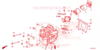 CULASSE pour Honda FORZA 125 SPECIAL de 2023