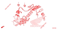 FAISCEAU DES FILS pour Honda CRF 150 R de 2009