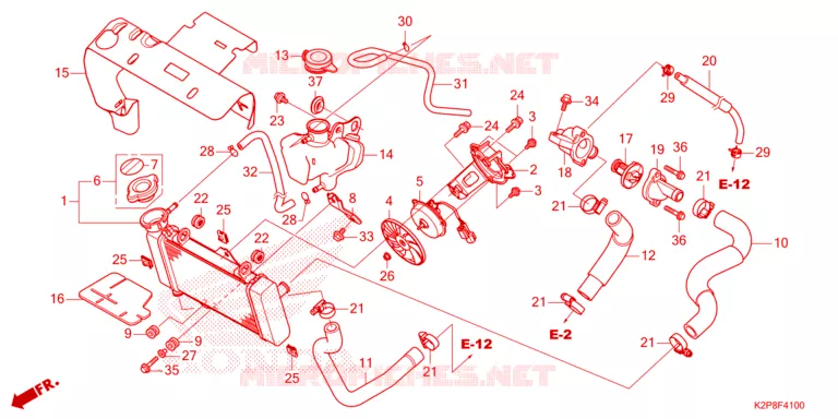 RADIATEUR Honda MOTO 150 RS 2023  FS150FAP_MA