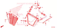 RADIATEUR D'HUILE pour Honda CBR 1000 RR de 2022