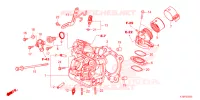 CULASSE pour Honda FORZA 350 2SI de 2023