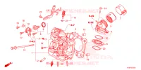 CULASSE pour Honda FORZA 350 FO de 2023
