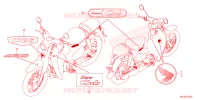 AUTOCOLLANTS pour Honda SUPER CUB 125 ABS de 2023