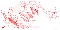 RADIATEUR   VASE D'EXPANSION pour Honda REBEL 1100 de 2023