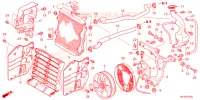 RADIATEUR pour Honda FOURTRAX 420 RANCHER 2X4 Electric Shift de 2023