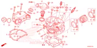 CULASSE pour Honda FOURTRAX 520 FOREMAN 4X4 EPS de 2022