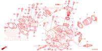 CULASSE pour Honda PIONEER 700 M2 de 2023