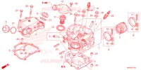 CULASSE pour Honda FOURTRAX 520 RUBICON 4X4 AT DCT de 2023