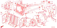 RADIATEUR pour Honda FOURTRAX 520 FOREMAN RUBICON DCT EPS DELUXE de 2023