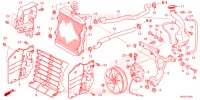 RADIATEUR pour Honda FOURTRAX 520 RUBICON IRS EPS de 2024