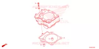 CYLINDRE pour Honda CRF 250 R de 2024