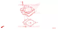 CYLINDRE pour Honda CRF 250 R de 2024
