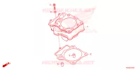 CYLINDRE pour Honda CRF 250 R de 2024