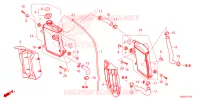 RADIATEUR pour Honda CRF 250 R de 2024