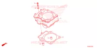 CYLINDRE pour Honda CRF 250 R de 2024