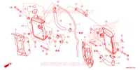 RADIATEUR pour Honda CRF 450 R de 2024