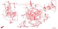 CULASSE pour Honda CRF 150 R de 2024