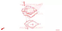 CYLINDRE pour Honda CRF 250 RX de 2024