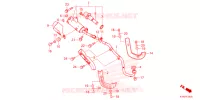 SILENCIEUX D'ECHAPPEMENT pour Honda CRF 110 de 2024