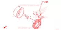 ALTERNATEUR pour Honda CRF 110 de 2024