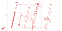 FOURCHE pour Honda CRF 110 de 2024