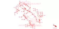 SILENCIEUX D'ECHAPPEMENT pour Honda CRF 110 de 2024