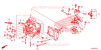 CULASSE pour Honda CRF 110 de 2024