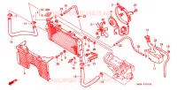 RADIATEUR pour Honda CBR 900 RR de 1995