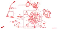 CULASSE pour Honda LITTLE CUB 50 CELL de 2008