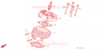 CYLINDRE   CULASSE pour Honda SY 50 PAL de 1990