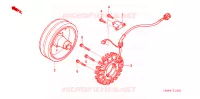ALTERNATEUR pour Honda FOURTRAX 650 RINCON de 2005