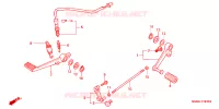 SELECTEUR   PEDALE DE FREIN pour Honda CBR 600 F4 de 2005