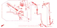 MAITRE CYLINDRE DE FREIN AVANT pour Honda NX 250 de 1990