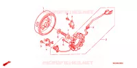ALTERNATEUR pour Honda NX4 FALCON 400 de 2004