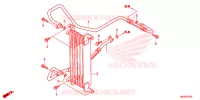 RADIATEUR D'HUILE pour Honda FOURTRAX 500 FOREMAN RUBICON Power Steering de 2014