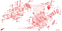 CULASSE pour Honda FOURTRAX 500 RUBICON PS de 2014