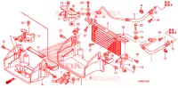 RADIATEUR D'HUILE pour Honda FOURTRAX 500 FOREMAN PS de 2011