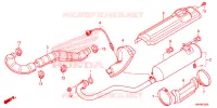 SILENCIEUX D'ECHAPPEMENT pour Honda FOURTRAX 520 FOREMAN 4X4 BASE de 2021